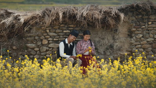 Jaquette Dhasa Dhala Dhai