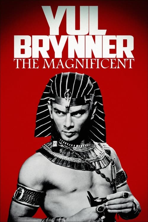 Poster Les Mille et Une Vies de Yul Brynner 2020