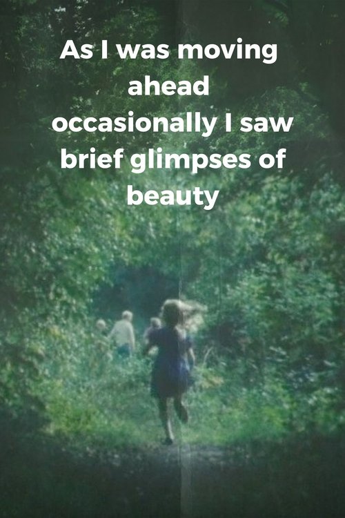 As I Was Moving Ahead, Occasionally I Saw Brief Glimpses of Beauty poster
