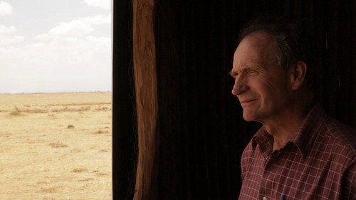 Dead Donkeys Fear No Hyenas