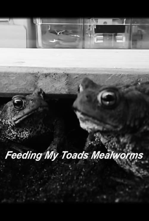 Feeding My Toads Mealworms 2014