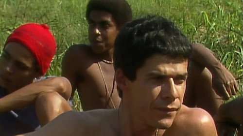 1977: A Organização (3)