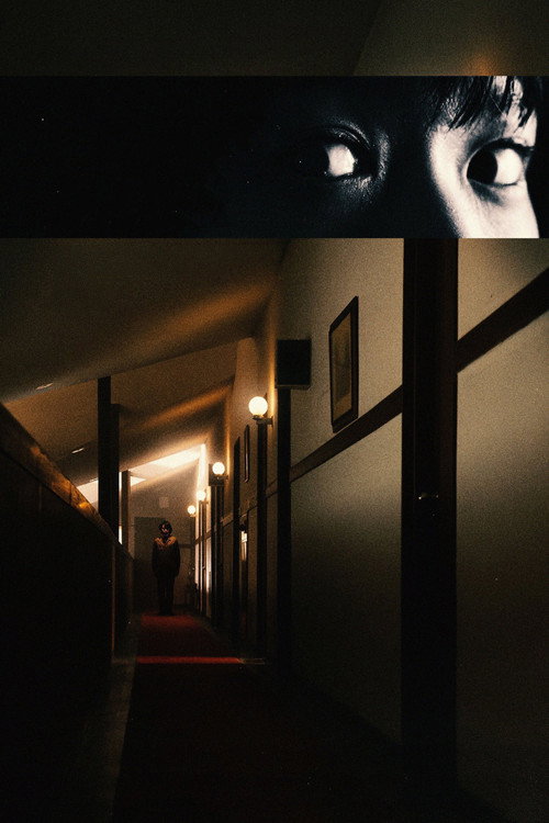 Affiche de Never After Dark