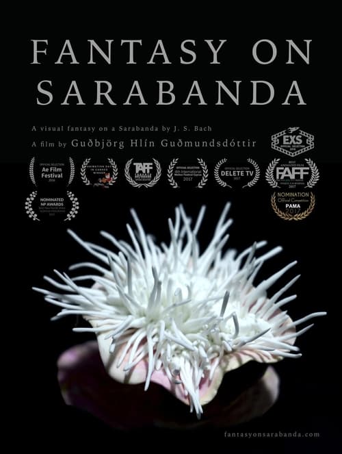 Fantasy on Sarabanda is a visual fantasy in claymation on the movement Sarabanda from J.S. Bach's D-minor partita for solo violin. The piece is a video of an animated sculpture which interprets the expressions in the music like in a ballet, pantomime or a silent film.