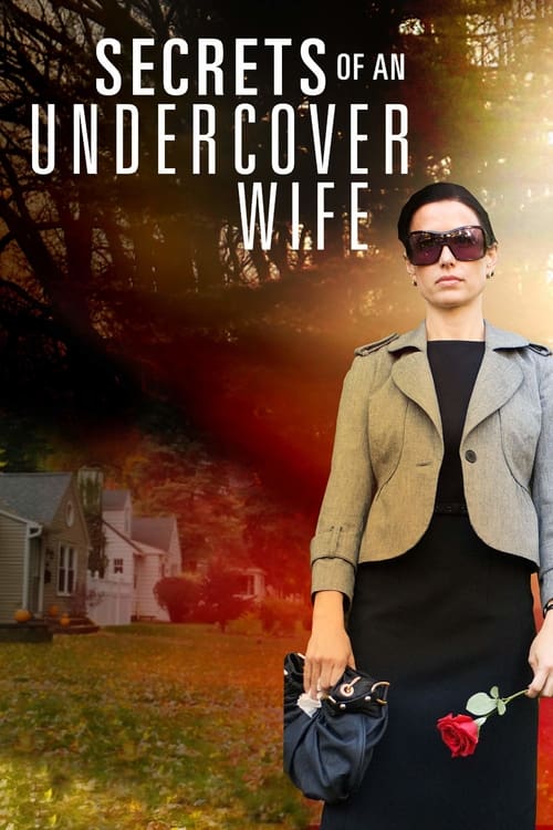 Secrets of an Undercover Wife Movie Poster Image