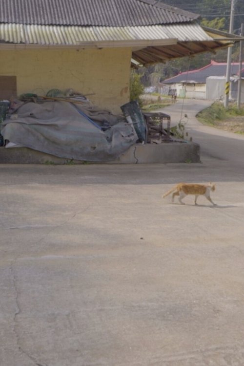 A House with Two Yards