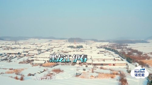 Image de l'épisode 12