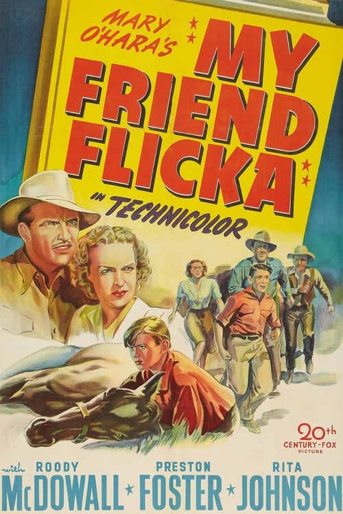 My Friend Flicka poster