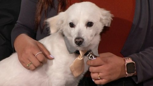 Image de l'épisode 26
