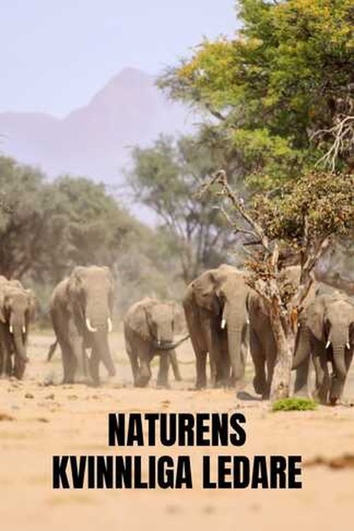Nature's Leading Ladies
