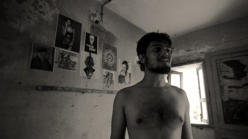 A Fly Floating In The Midst Of The Milk