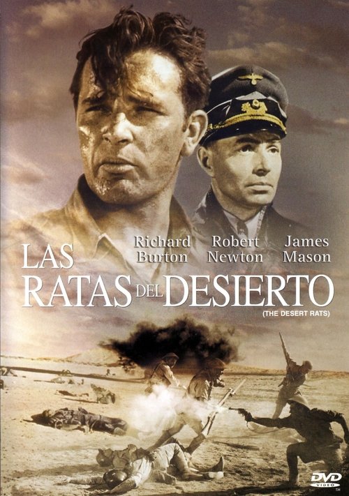 Las ratas del desierto 1953