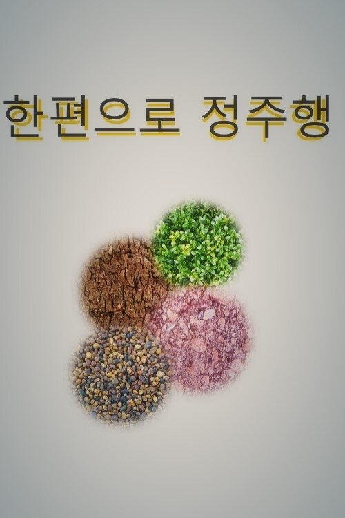 한편으로 정주행 (2017) poster