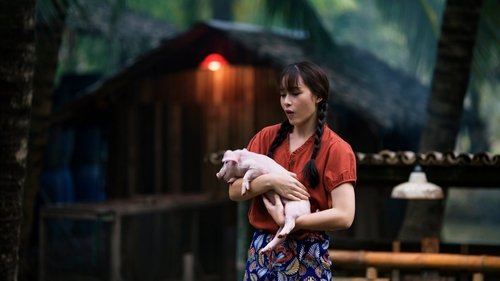 My Love in the Countryside