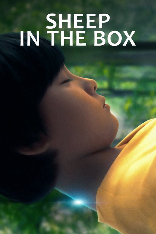 Sheep in the Box