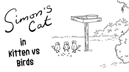 Kitten vs Birds