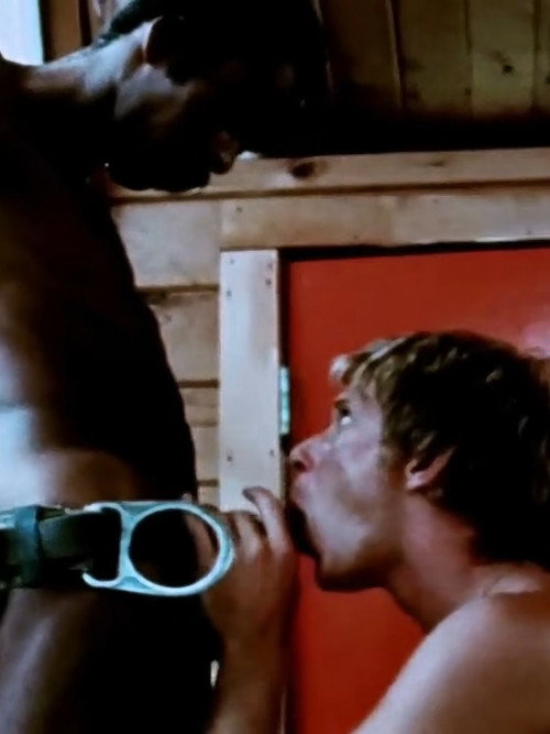 Póster oficial de Boys in the Sand (1972) - Fantasy