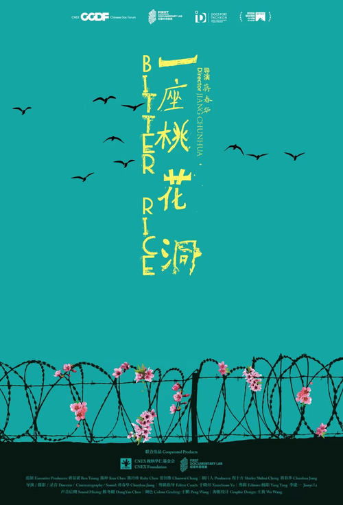 Poster 一座桃花洞 2024