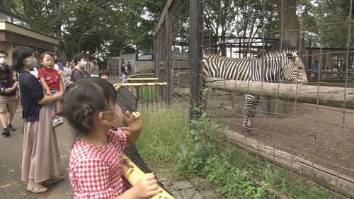 Image de l'épisode 4