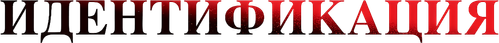 Идентификация