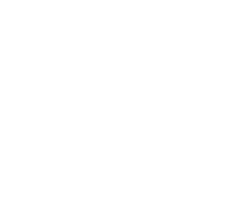 Black Dog