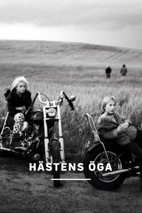 Hästens öga