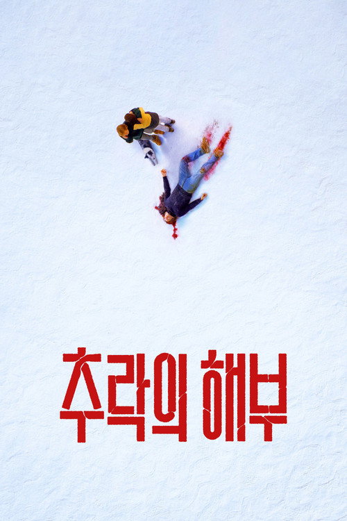 추락의 해부 포스터
