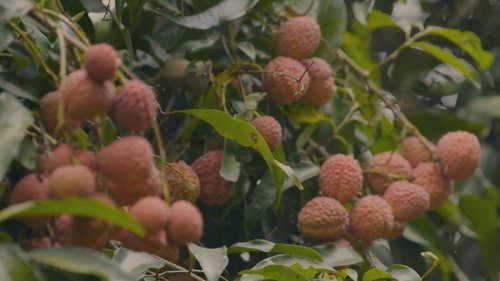 Image de l'épisode 57