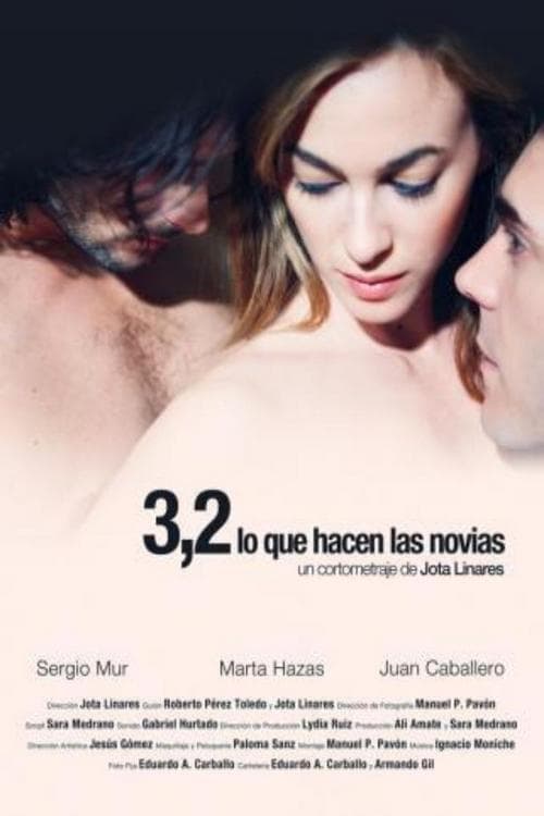 Poster 3,2 (lo que hacen las novias) 2011