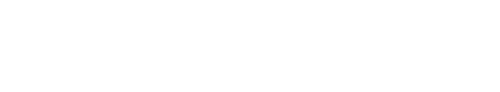 The Double