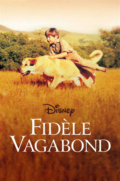 Affiche de Fidèle vagabond