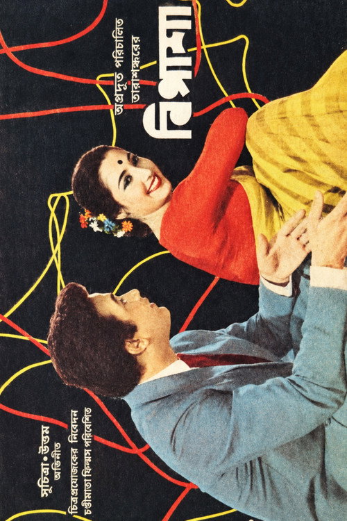 Bipasha poster