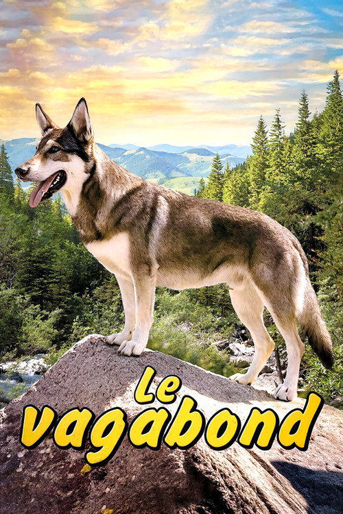 Affiche de Le Vagabond