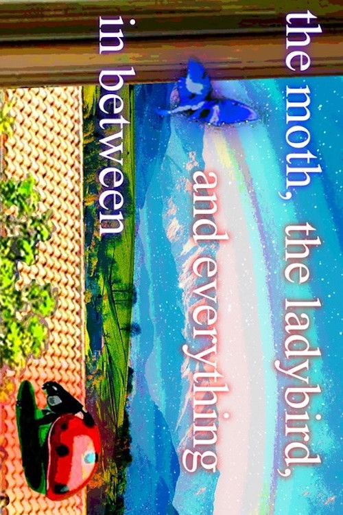 The Moth, The Ladybird, and Everything in Between