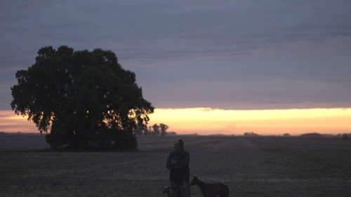 Man on the Plain — Backdrops 1
