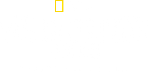 Testers (Shorts)