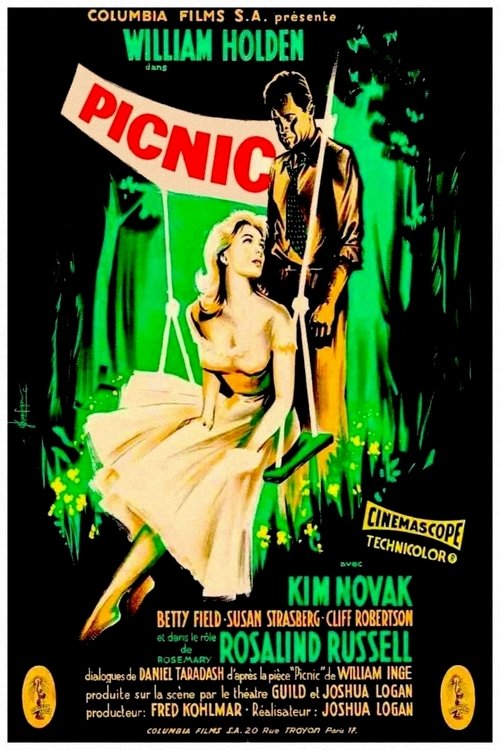 Poster image du film Picnic Picnic
