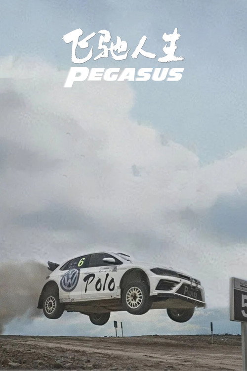Pegasus poster
