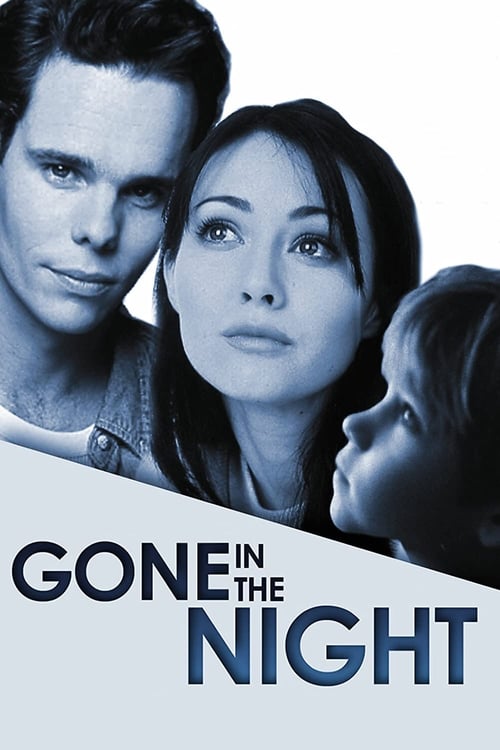 Poster do filme Gone in the Night