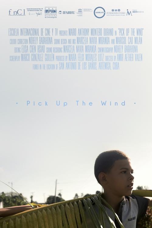 Pick up the Wind (2021)