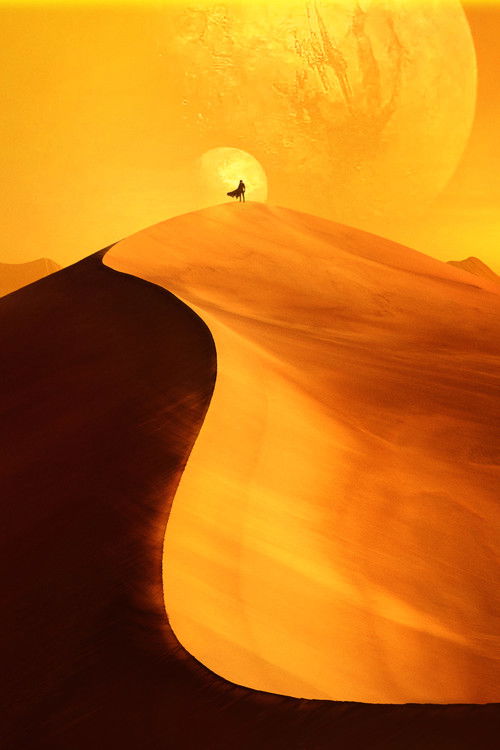 Pòster de Dune - Col·lecció