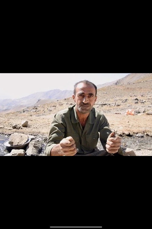 They Shoot Kolbars, Don't They?