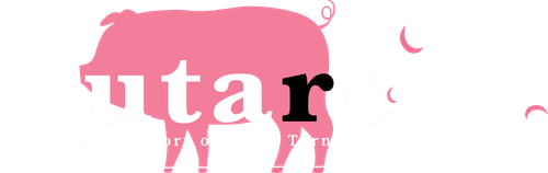 Butareba -The Story of a Man Turned Into a Pig-