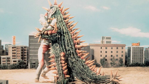 The Red Flower of Cactus Hell