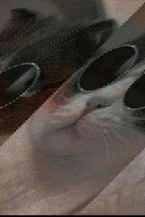 Alejandro Rivera Hurtado