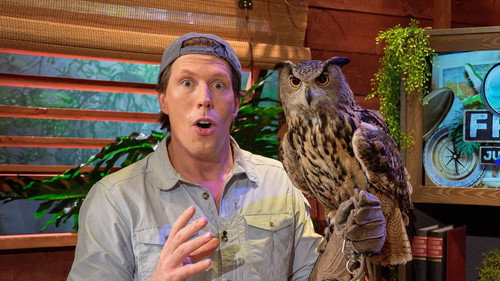 Freeks Jungle School