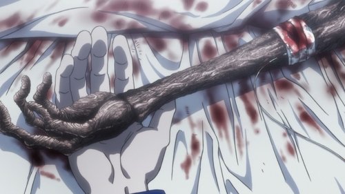 Hunter x Hunter 2011: 3×9