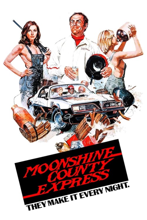 Moonshine County Express Movie Poster Image