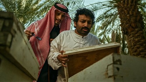 Image de l'épisode 12