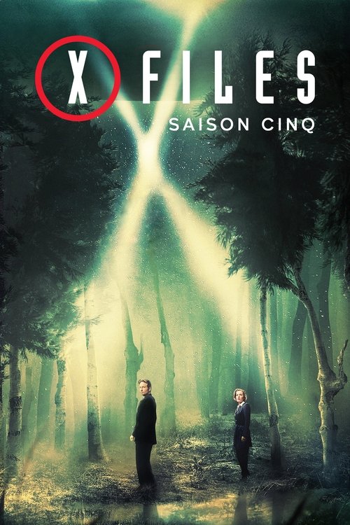 Regarder X-Files : Aux frontières du réel - Saison 5 en streaming complet